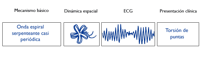 esquema fibrilación