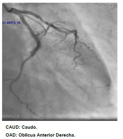 fig6