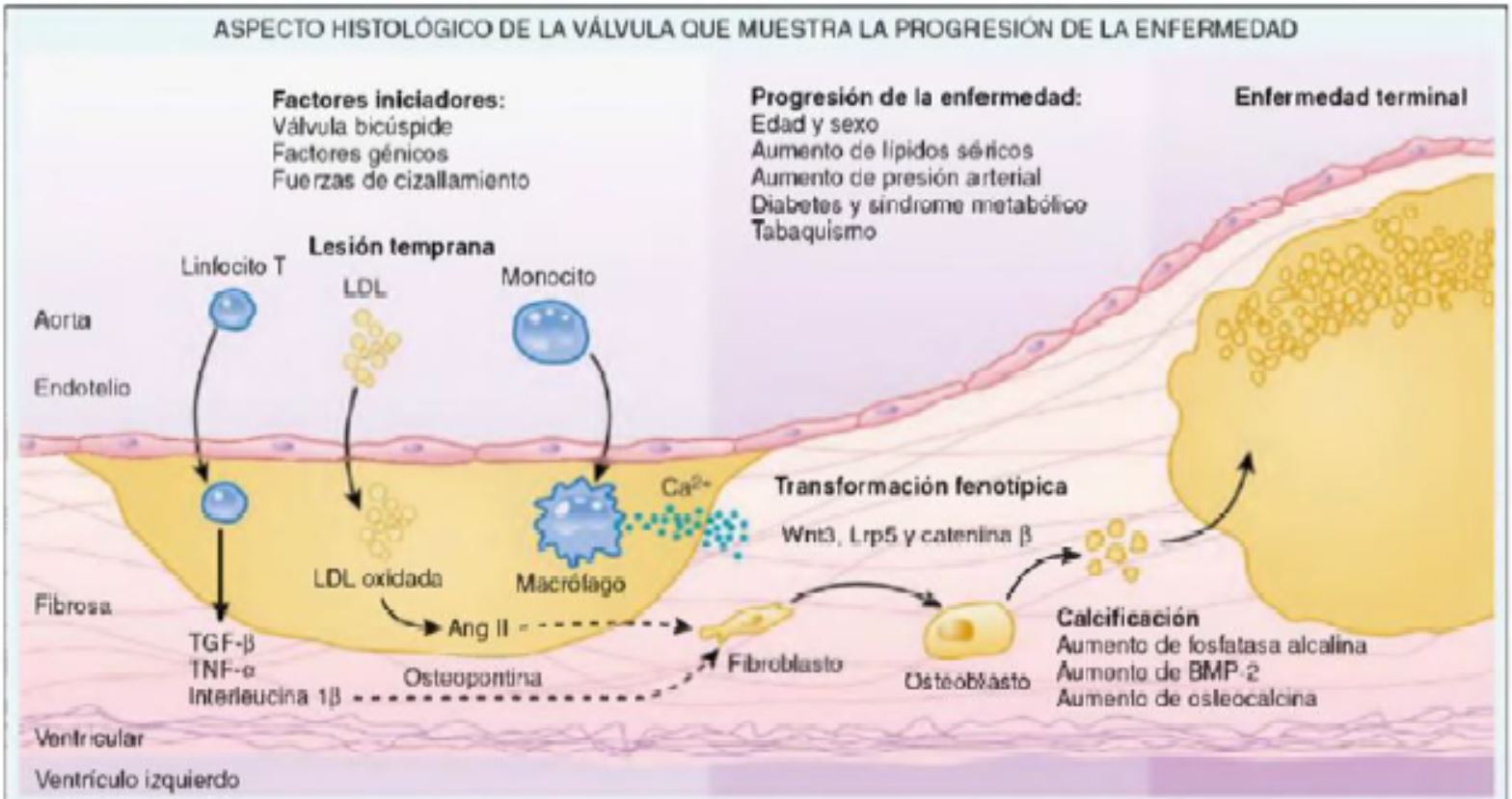 fig5